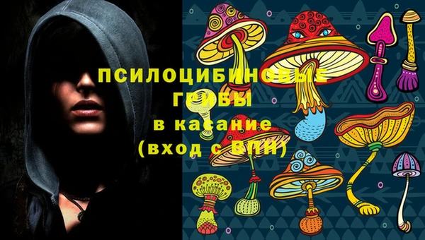 кокс Вяземский